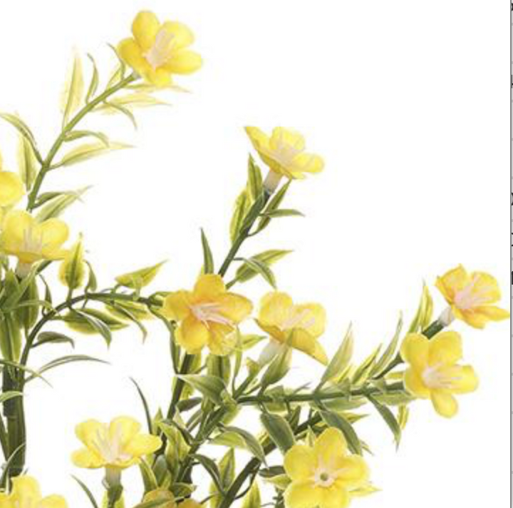 14in Waxflower Bush x7 YELLOW