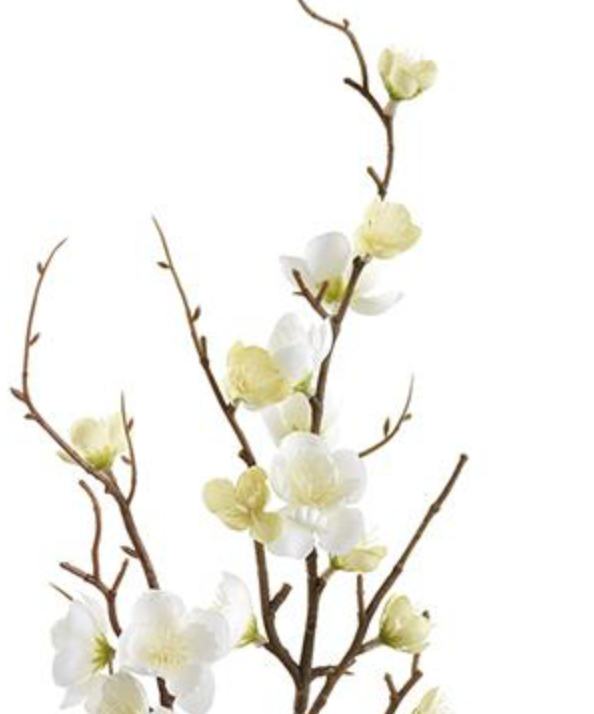 This is a photo of artificial quince flower branch with white and light green flowers on a white background.