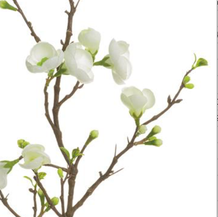 35in Quince Blossom Branch cream