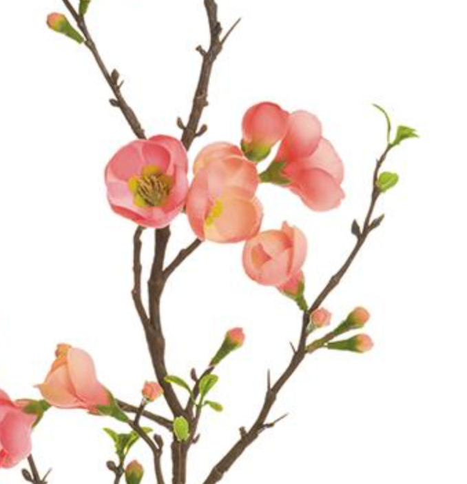35in Quince Blossom Branch coral TT