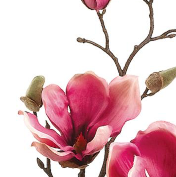 19in Magnolia Bloom Spray ROSE