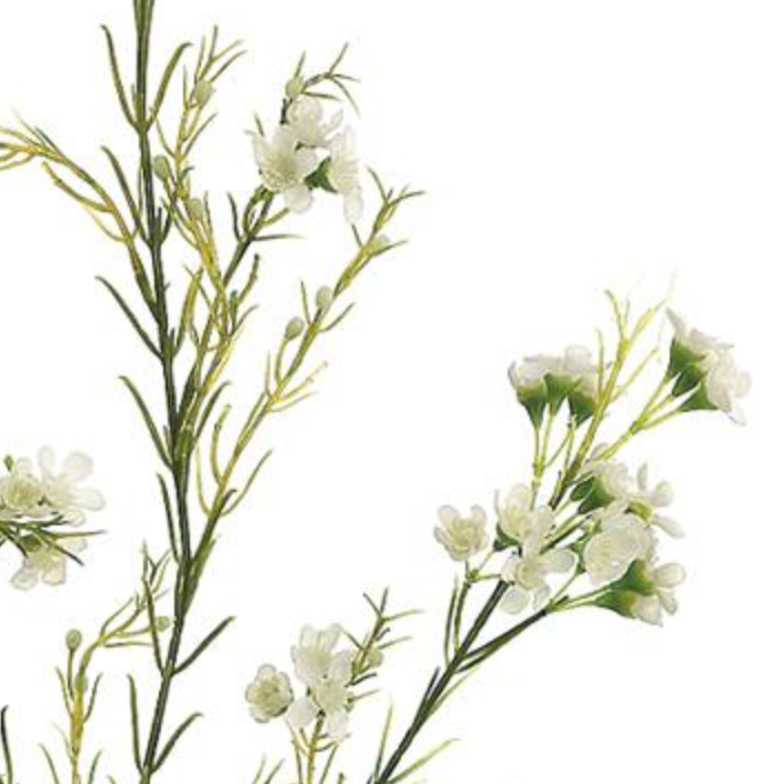27in Cream White Waxflower x3