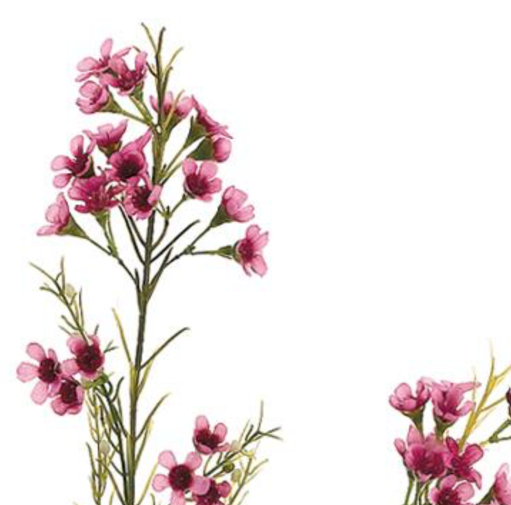 27in Mauve Pink Waxflower x3