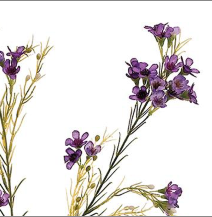 27in Purple Waxflower x3