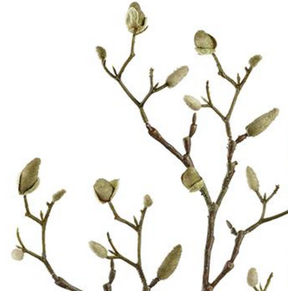 33in Green/Brown Magnolia Bud Spray