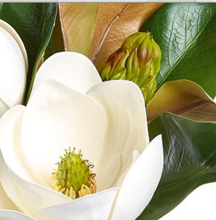 17in Magnolia Bloom and Leaves white green