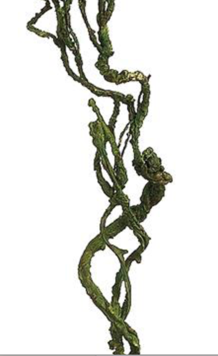 26in Green Curly Twig Branch