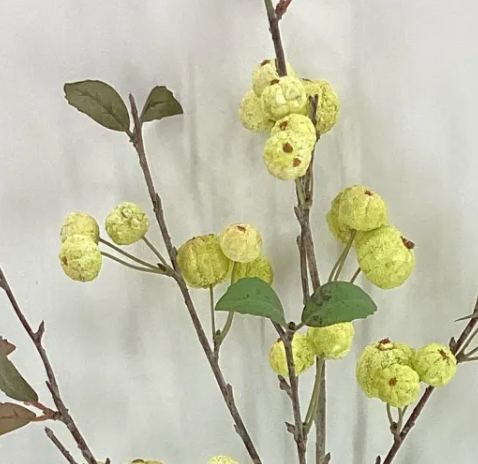 36in Light Green Berry Spray