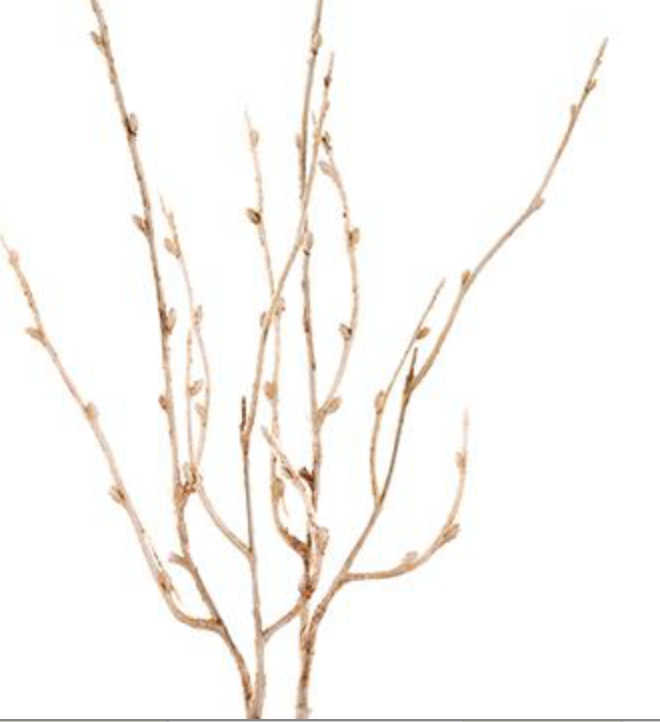 27in Artificial Brown/Cream Willow Twig Spray