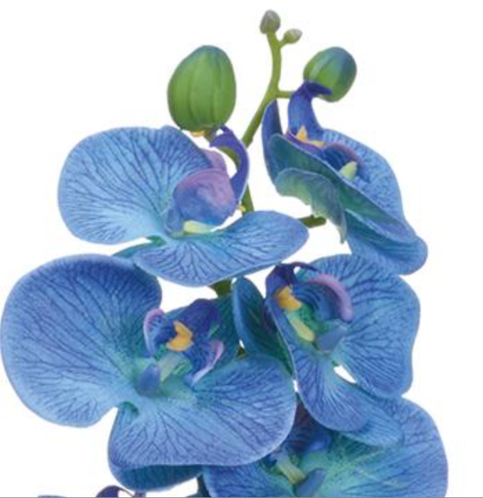 28in Blue/Purple Phalaenopsis Orchid