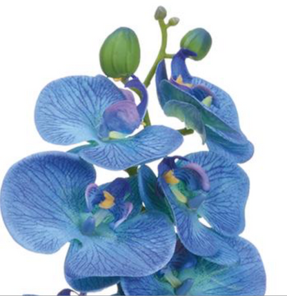 28in Blue/Purple Phalaenopsis Orchid