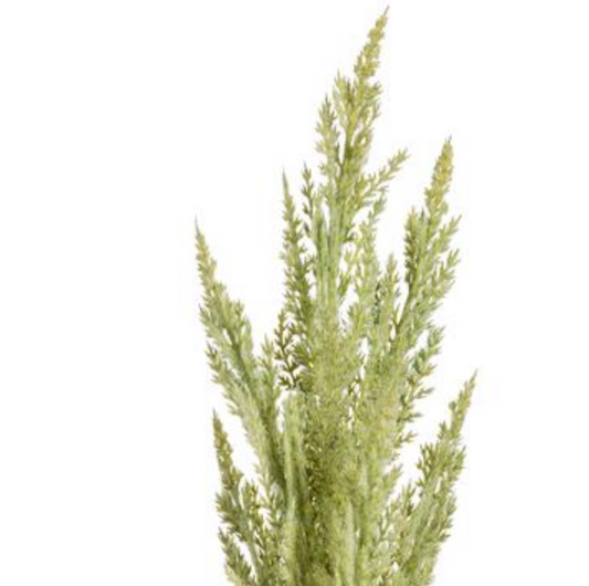 32in Green Pampas Grass