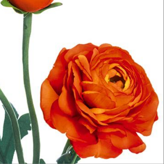 15in TT Orange Ranunculus Bloom & Bud - Premium Floral for Wreaths and Home Decor