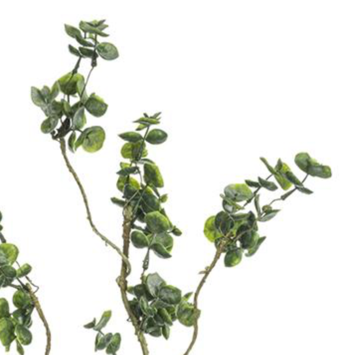 37in Mini Eucalyptus Vine