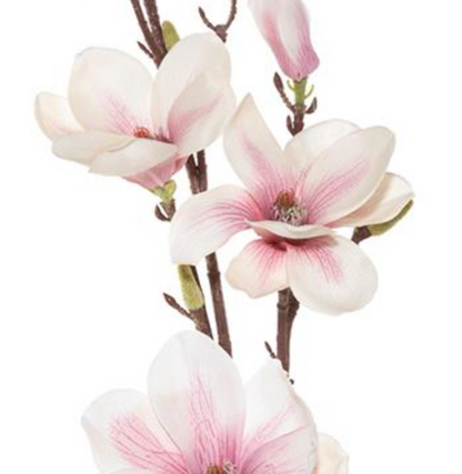 34in Pink/Cream Magnolia
