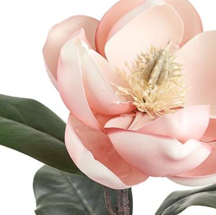 26in Premium Pink Magnolia Bloom & Leaves