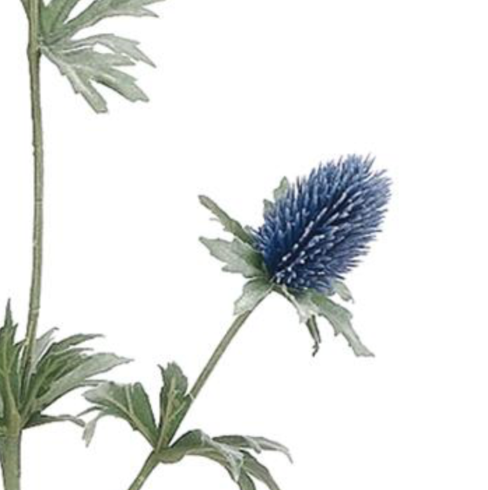 31in Blue/Navy Thistle Spray