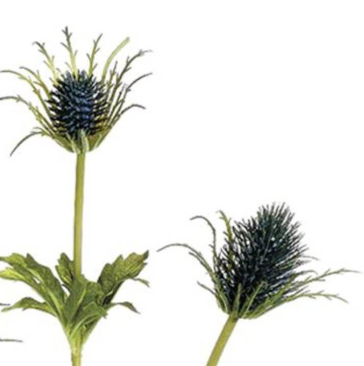 32in Natural Blue Thistle