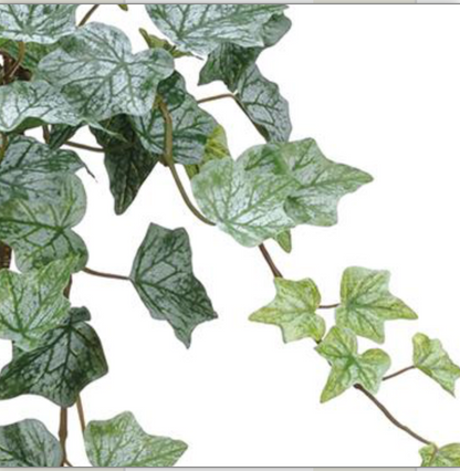 22in Frosted Green Ivy Bush