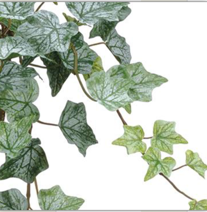 22in Frosted Green Ivy Bush