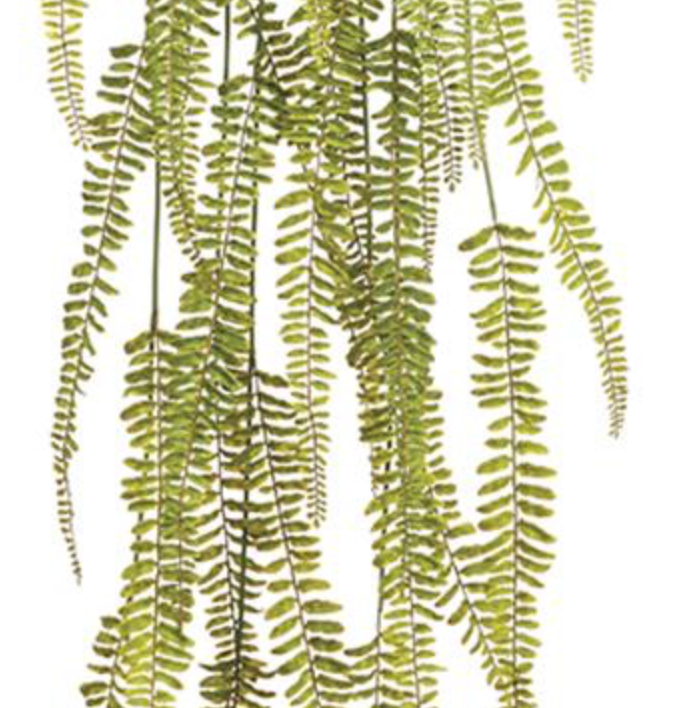 50in Soft Woodland Hanging Fern
