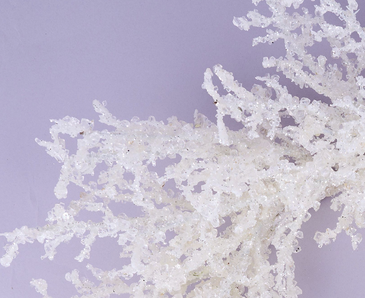 22in Ice Wreath