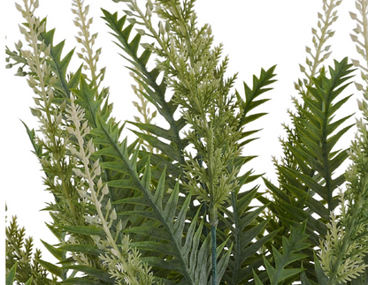 23in Multi Fern x18 Dusted TT Green
