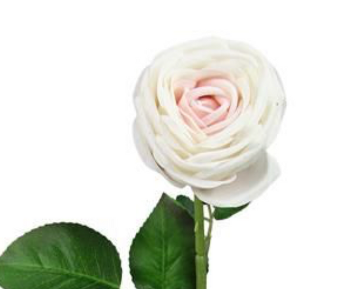 28in Real Touch Cabbage Rose CREAM/PINK