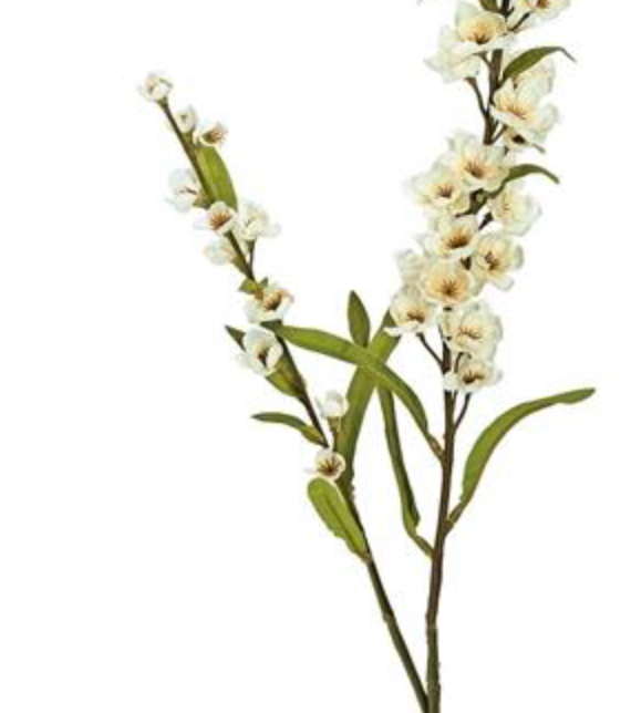 30in Ivory Flowering Astilbe x2