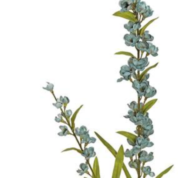 30in Slate Grey Flowering Astilbe x2