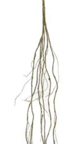 54in Brown Twig Vine