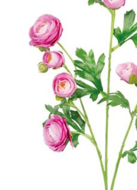 30in Pink Ranunculus Spray