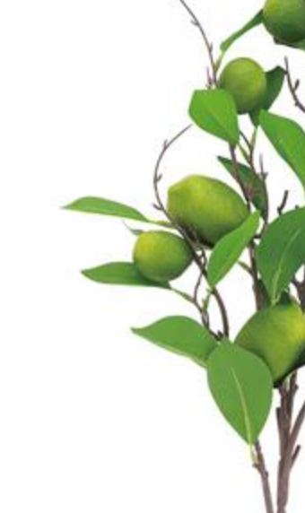 35in Lime Fruit Spray w/Leaves