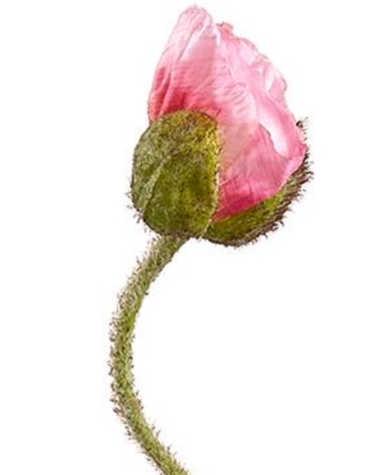 27in Pink Poppy Bud Spray