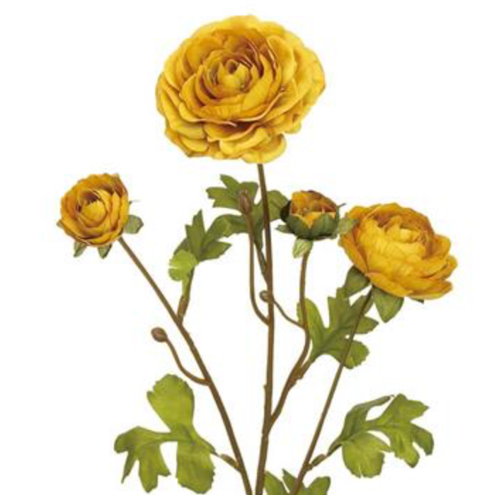 26in Old Gold Ruffle Ranunculus x3 def