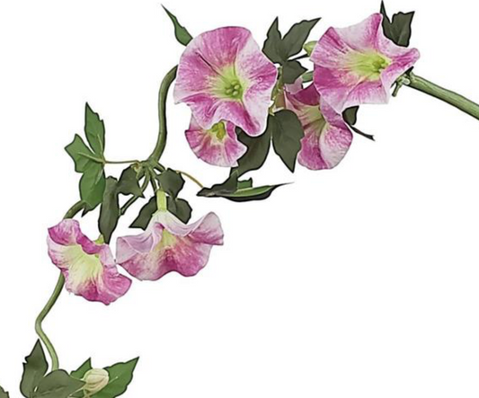 14in Pink Clematis Vine