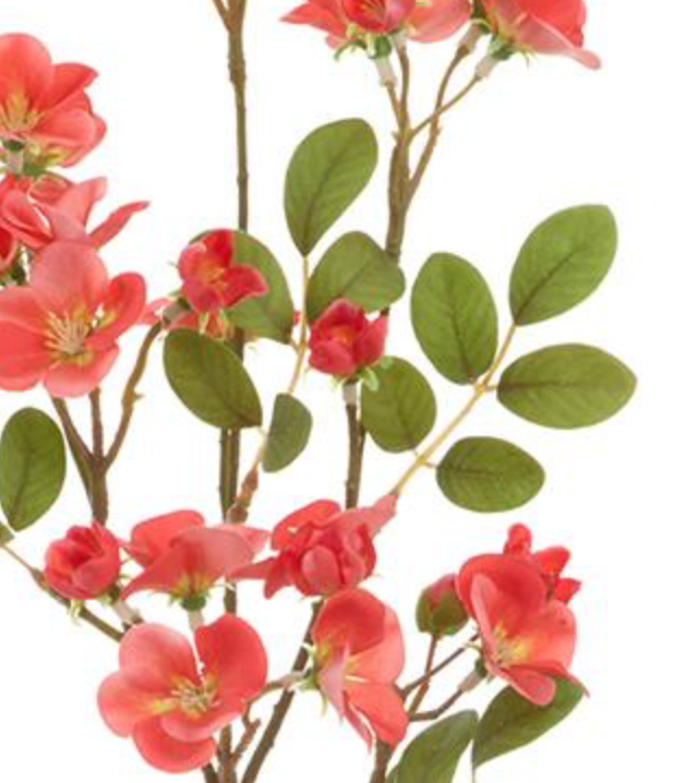 28in Coral Quince Blossom Spray