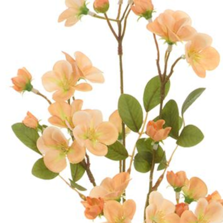 28in Peach Quince Blossom Spray