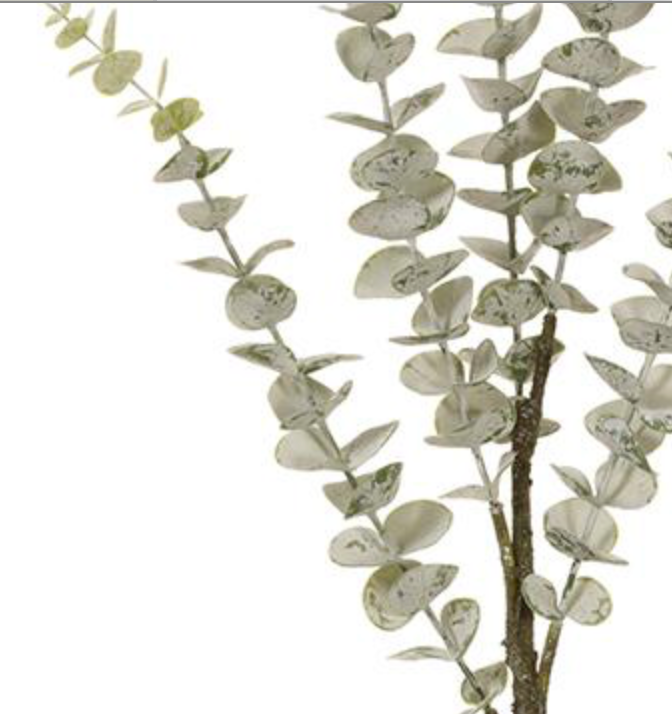 31in Green Grey Eucalyptus adb