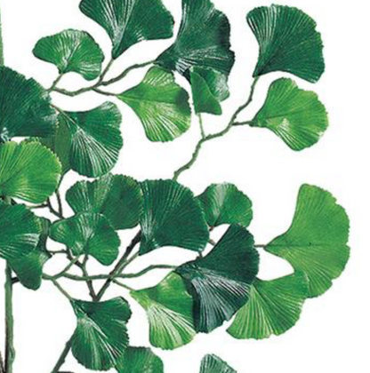 22in TT Green Gingko x3 (60 leaves)