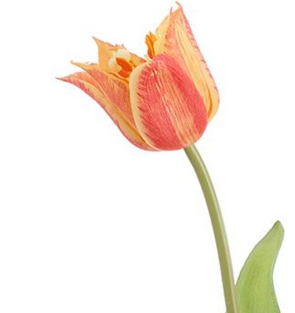 19in Coral Real Touch Parrot Tulip Bouquet