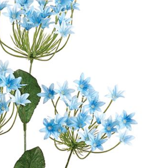 32in Blue Agapanthus African Lily