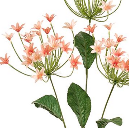 32in Peach/Coral Agapanthus African Lily