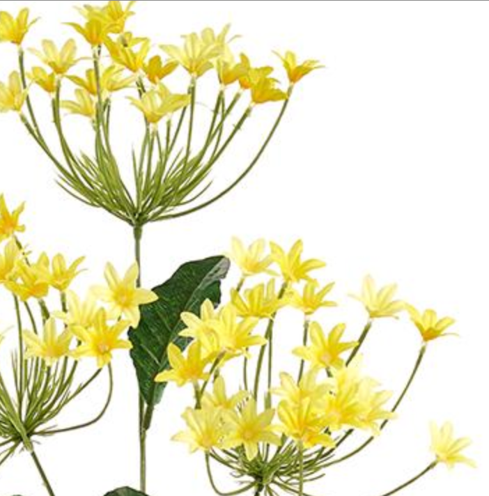 32in Yellow Agapanthus African Lily