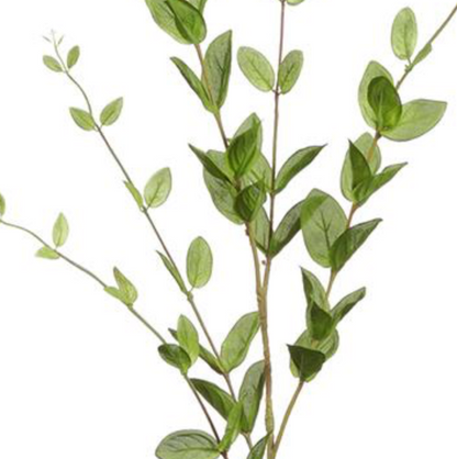 46in Light Green Lonicera Leaf x5
