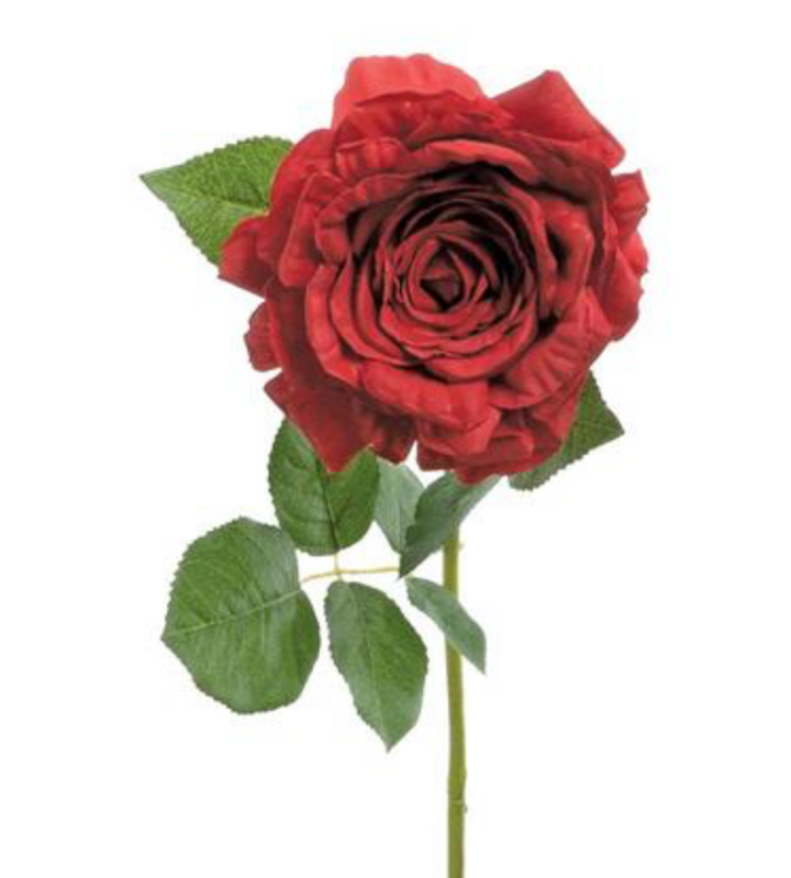 32in BLOOMED RED Tea Rose