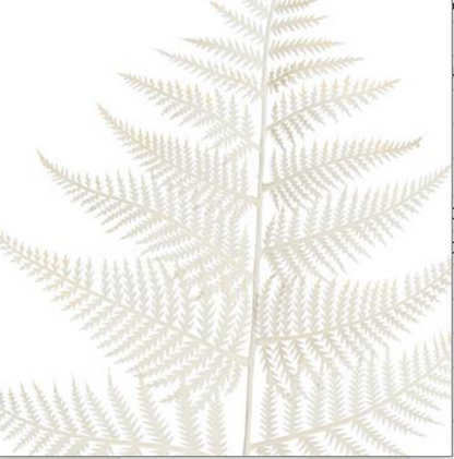 32in White Fern Spray