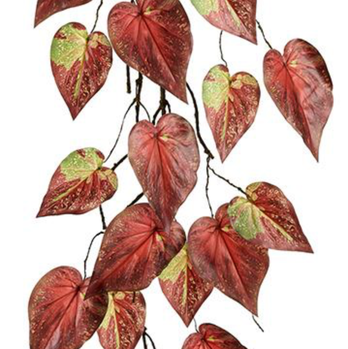 50in Heart-Leaf Philodendron Vine