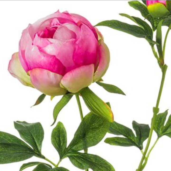 26in Fuchsia Peony - Premium Florals for Wreaths and Home Decor
