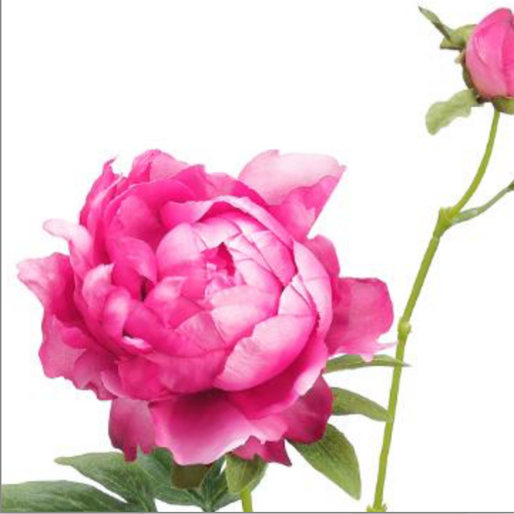 25in Hot Pink Peony - Premium Florals for Wreaths and Home Decor